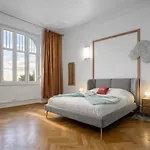 Luxurious Center Estrasburgo