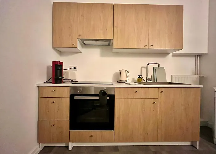 Apartment Luxurious Center